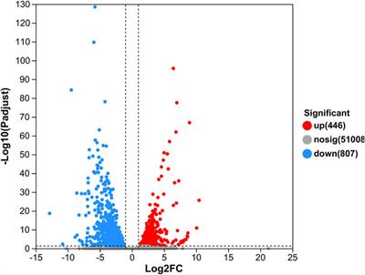 Frontiers Transcriptome Analysis In Hepatopancreases Reveals The